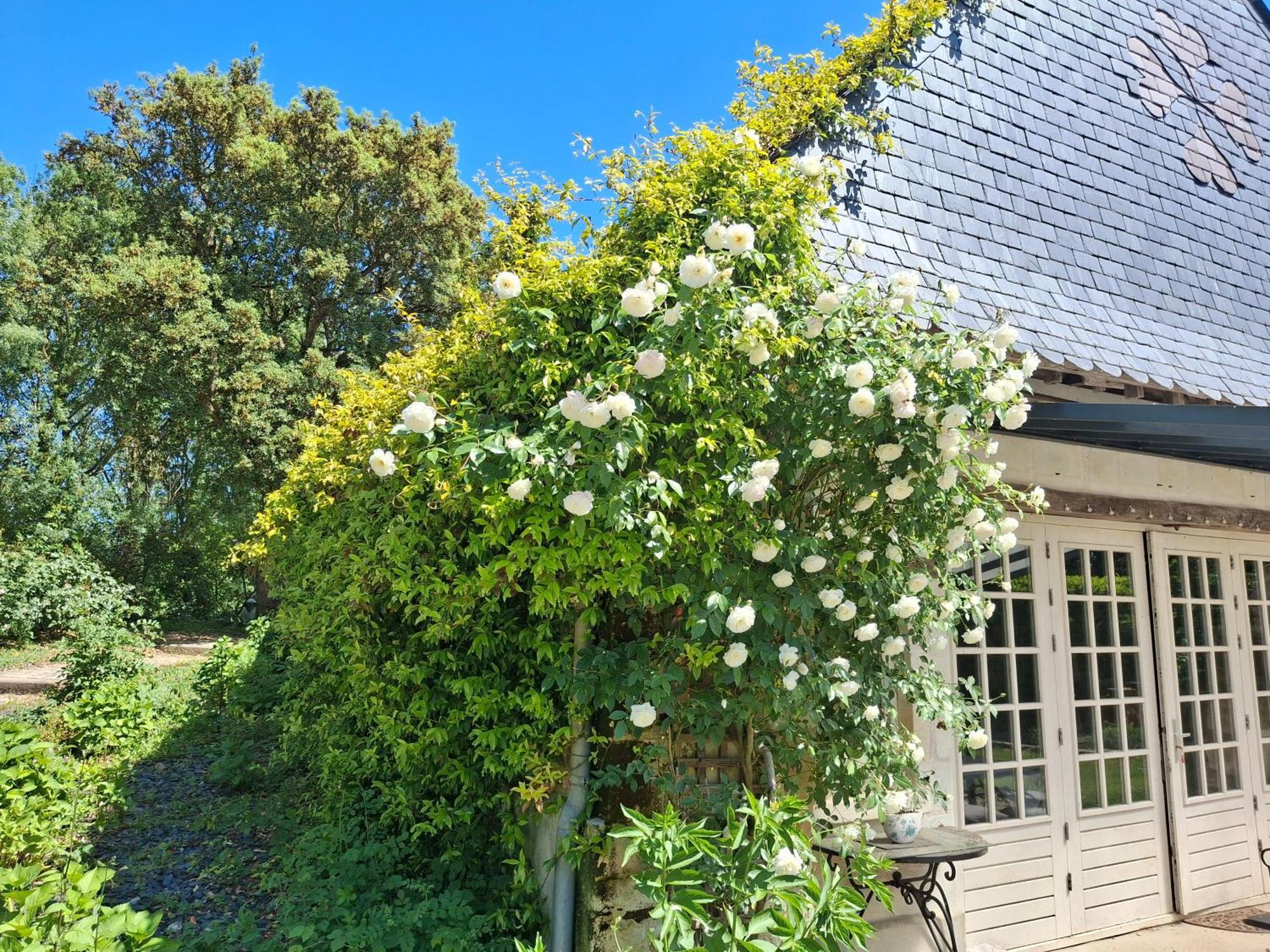 Bed and Breakfast Le Mouton Blaison Exterior foto